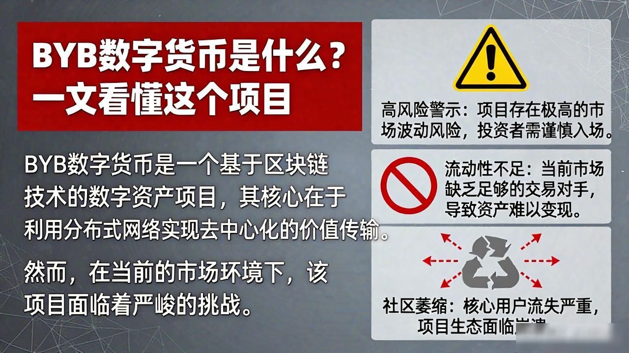 BYB数字货币是什么？一文看懂这个项目